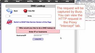 Celebrity Using Burp to Manually Test for Reflected XSS| Using Burp to Test for the OWASP Top Ten | Burp suite Wealth