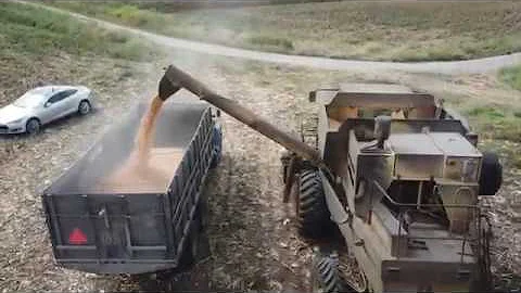 Corn Harvest  - Mr. John Springer