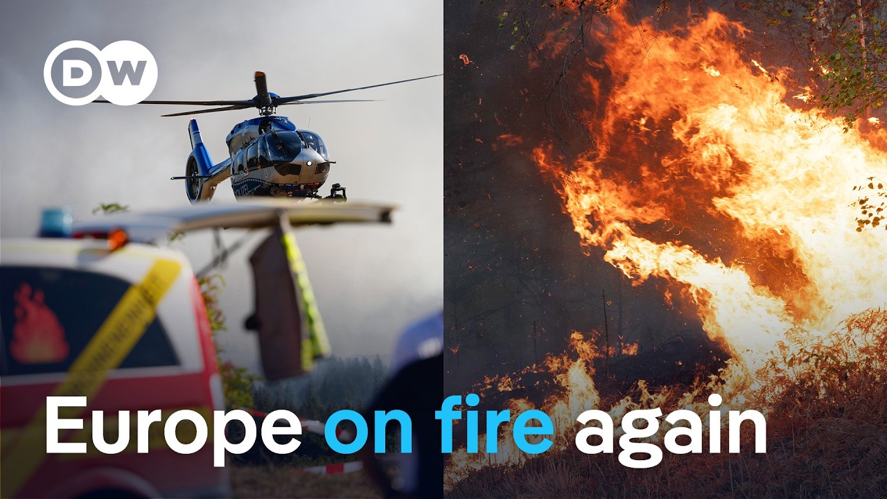 From Germany to the Mediterranean: How can fires be prevented? | DW News