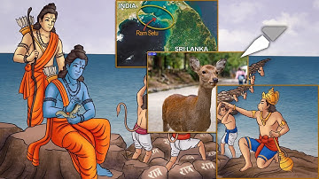 Photoshop Tutorial 6  Slice Tool