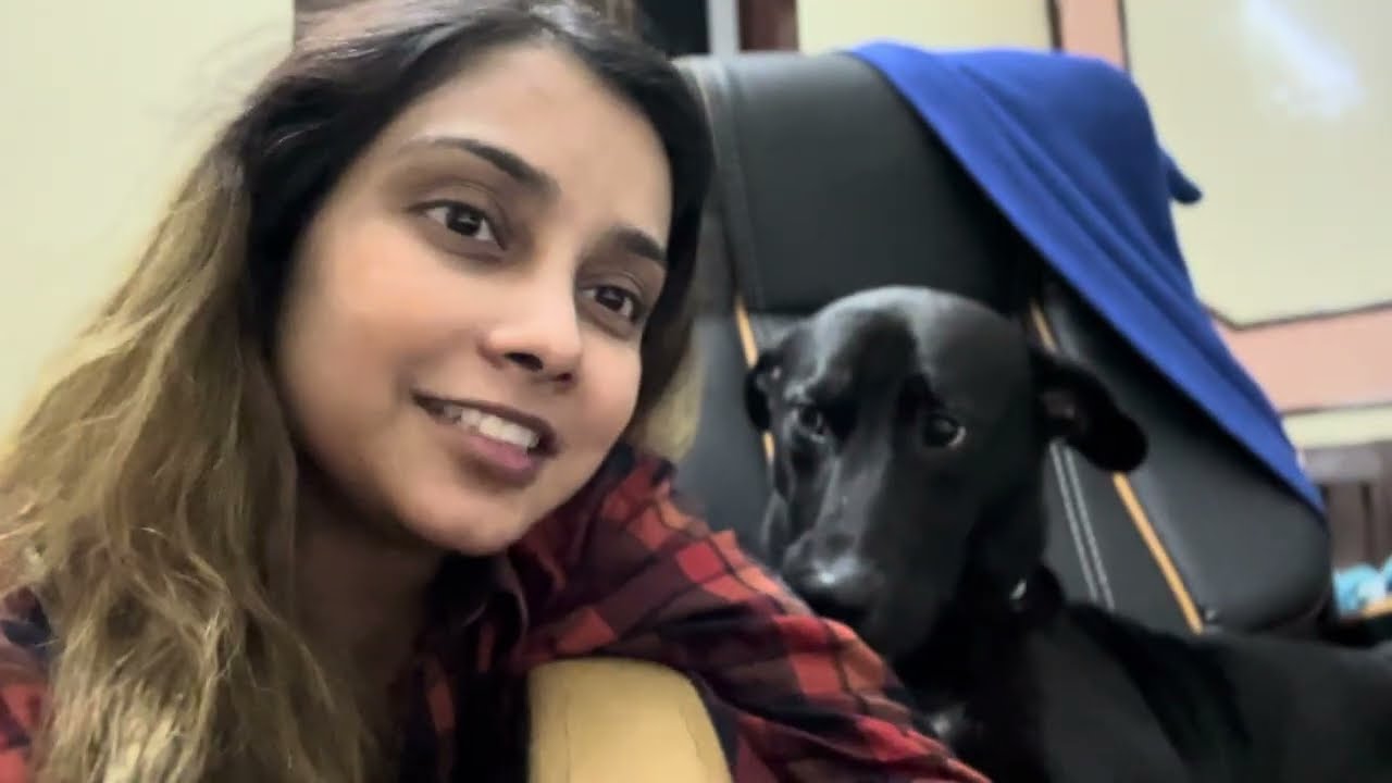 СНОВА слишком много целую свою собаку! #собачьишалости #собачьипроделки #собачьиразвлечения