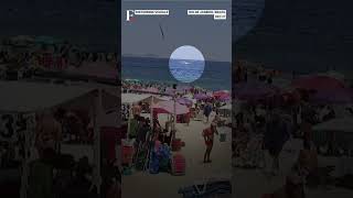 Famous Watch: Ultralight Plane Crashes Into Sea Off Brazil's Copacabana Beach | N18G Profile