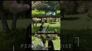 Natural sounds blending with immersive resonance.