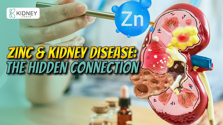 Link Between Zinc & Kidney Disease | The Hidden Connection