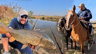 Pesca a caballo - carpon con línea de mano