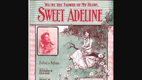 Haydn Quartet - Sweet Adeline (You're the Flower o...
