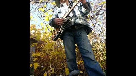 Twentythird Fret Cover "Nutshell"