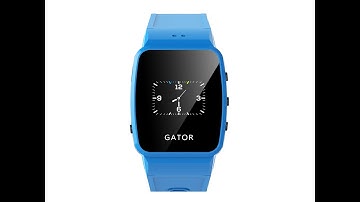 Using the Gator watch