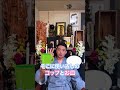 さようならを言えないあなたに。 【保存版】ペット供養のすべて #木下レオン　#ペット供養
