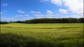 Keindahan Padang Rumput Dengan Pesona Langit Biru Disertai Hembusan Angin Kencang☁🌬🌾||Meadow