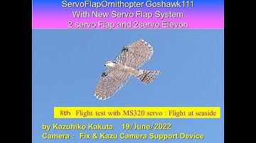 サーボ駆動羽ばたき機　オオタカ　SFOGoshawk111 86g: 8th Flight Test with MS320 servo at seaside