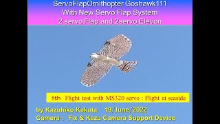 サーボ駆動羽ばたき機　オオタカ　Sfogoshawk111 86G 8Th Flight Test With Ms320 Servo At Seaside