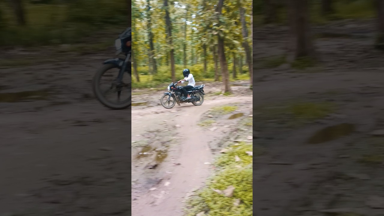 the cut rider03 stunts in forest/