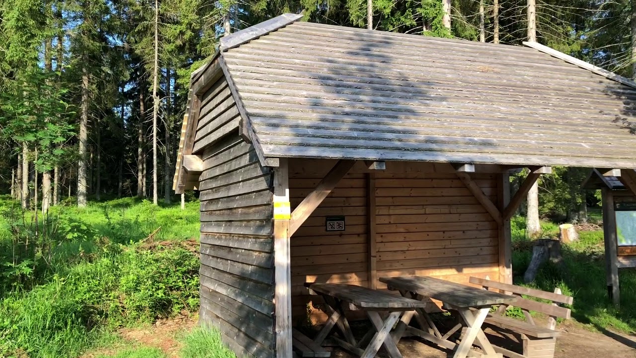 Hike from Modrava to Oblik (hill) / Vyslap z Modravy na Oblik