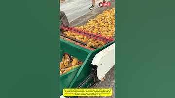 Efficient Corn Sheller for Fast and Easy Shelling 🌽⚙️