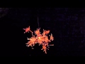 線香花火.mp4