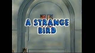 Bitbbh A Strange Bird Part 1