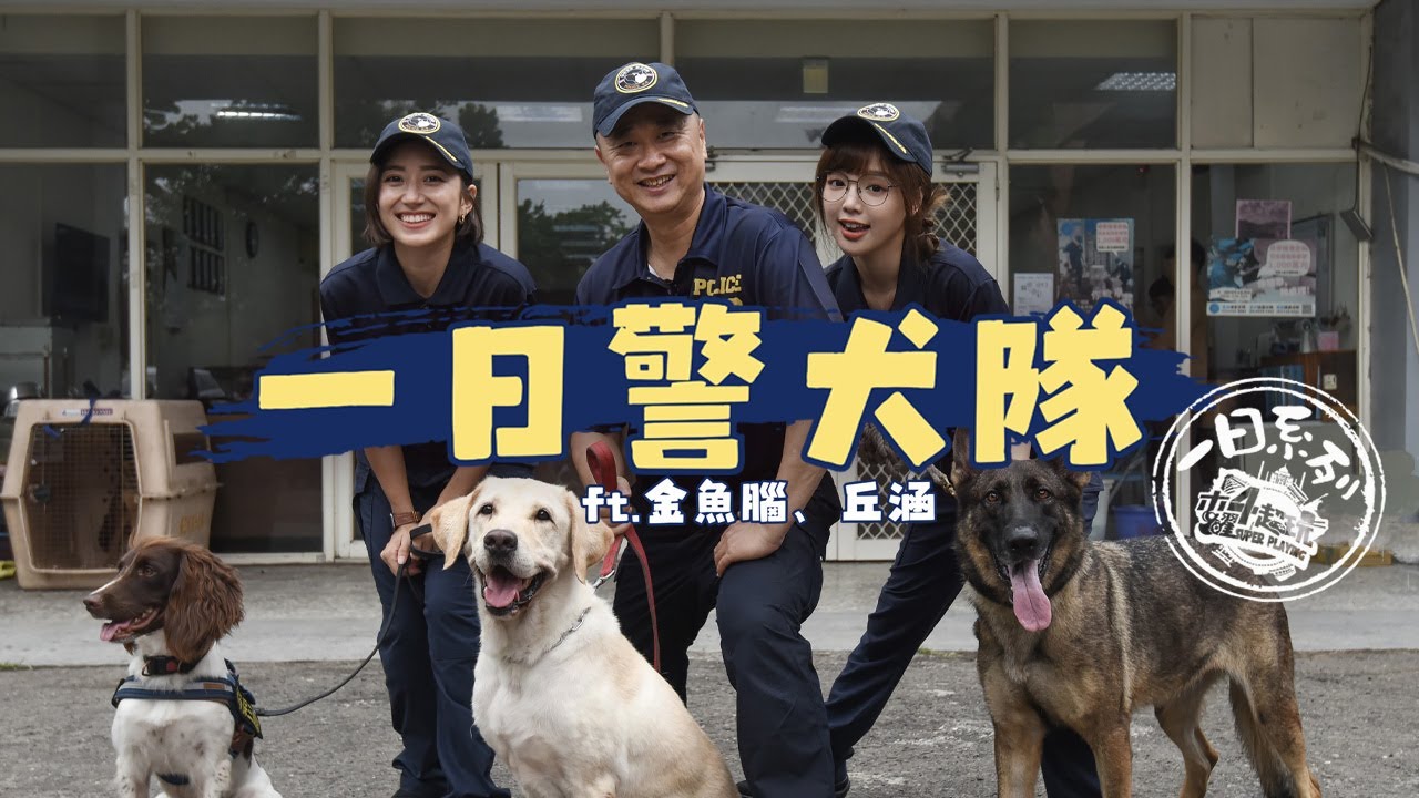 《一日系列第一百九十八集》 有過領犬員經驗的邰哥，能夠順利帶領丘涵跟金魚腦加入警犬隊嗎??? – 一日警犬隊 Ft.金魚腦、丘涵