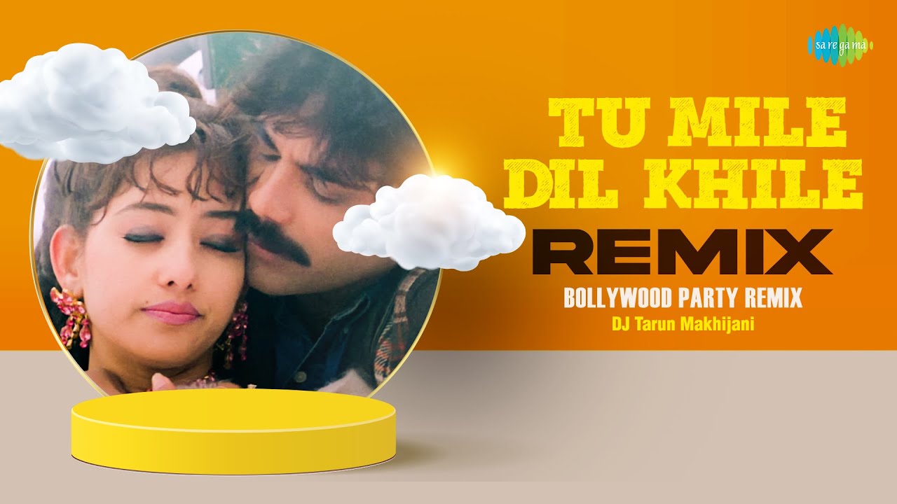 Tu Mile Dil Khile   Remix  Tarun Makhijani  Alka Yagnik  Manisha Koirala  Nagarjuna