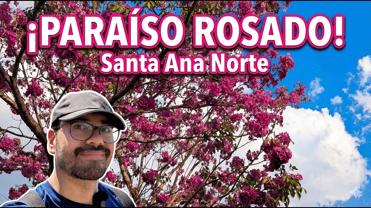 El parque MÁS ROSADO de Santa Ana 🌸 (La primavera salvadoreña de maquilishuat en Santa Ana Norte)