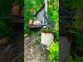 Жара, работа идёт #stihl #бензотриммер #бензопила #расчистка #ms251