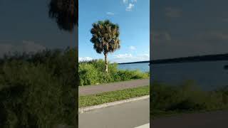 Why You Would Want to Relocate to Lakeland, FL and the Hidden Gems  - Ridin'