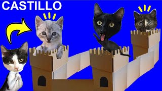 24 horas en un castillo de cartón para gatitos bebes / Videos de gatos graciosos Luna y Estrella