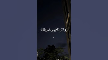 وَلَوْ أَنَّمَا فِي الْأَرْضِ مِن شَجَرَةٍ أَقْلَامٌ || سورة لقمان #ياسر_الدوسري 🤍🌱