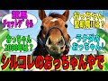 【競馬の反応集】「おっちゃんはな、シルコレの馬なんやで」に対する視聴者の反応集