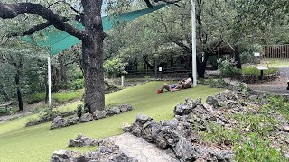 Parque ecológico Chipinque es una reserva natural 