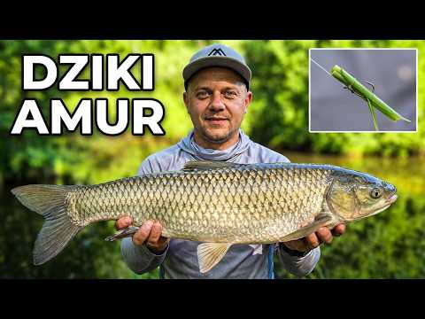 Catching Grass Carp on Floating Reeds in a Wild Forest Pond!