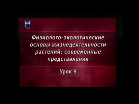 Видео: Гражданская толпа и эксперты: наблюдательская изменчивость в основанном на изображении фенотипировании растений