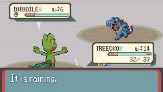 Pokemon Ruby Hack: Wild Starters, Costa Rican City Names, and More!