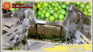 Brocano™ Multihead Weigher Packing Machine