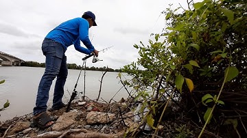 Câu cá ngát cầu láng chim - trà vinh