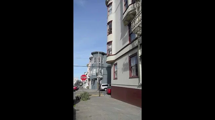 Rapid Christmas Tree Removal