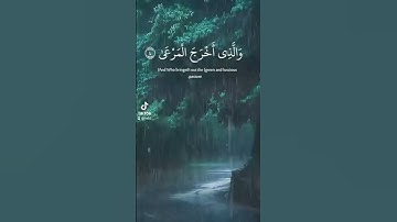 سبح اسم ربك الأعلى الذي خلق فسوى سورة الأعلى #قرآن #اكسبلور #tv #ارح_قلبك