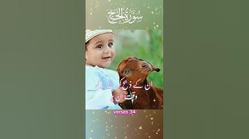سورة الحج🤍 آیت 34🌹