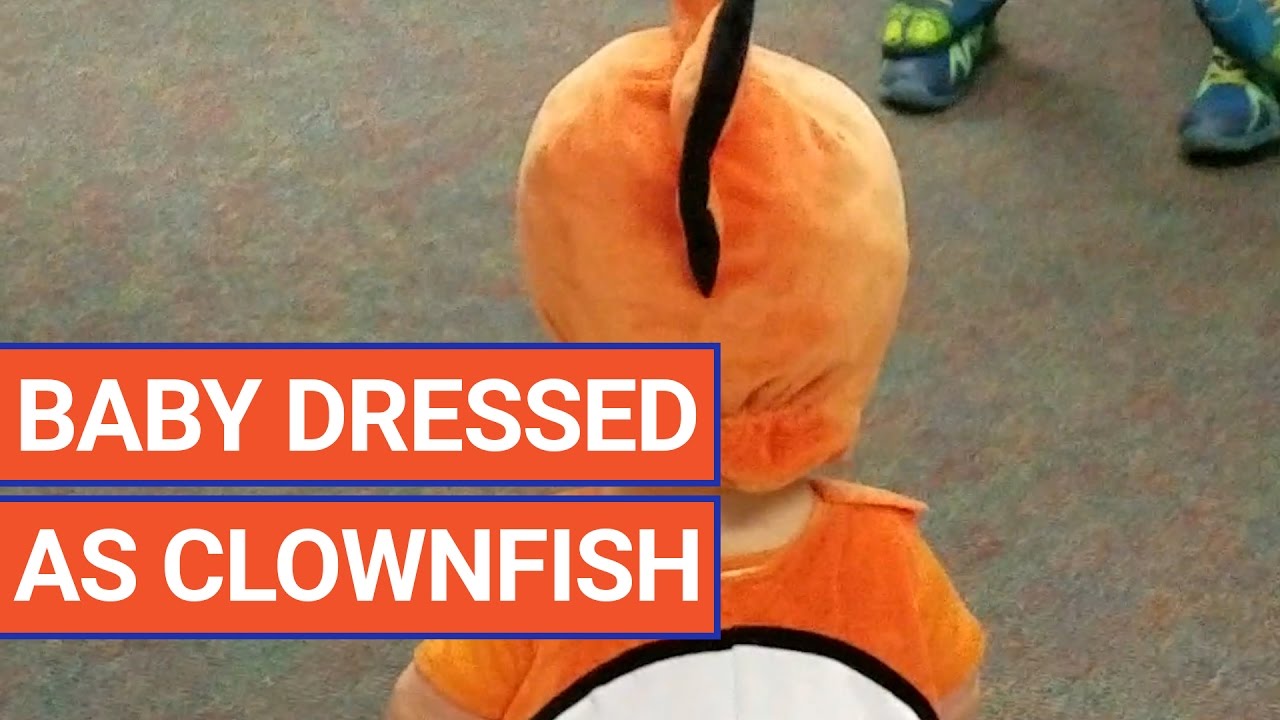 Cute Baby Dressed In A Fish Costume Video 2016 Daily Heart Beat Cute Baby Dressed In A Fish Costume Video 2016 Daily Heart Beat