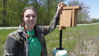 Cadence's 4H Corner: Episode 4 (Bluebird Box Monitoring Week 1)