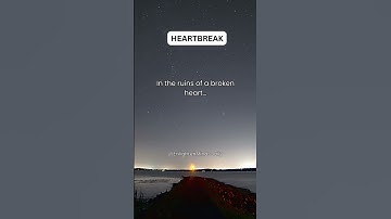 Seeds of New Beginnings - Hope in Heartbreak #Heartbreak #NewBeginnings