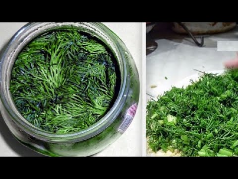 თუ სახლში კამა გაქვთ, შეგიძლიათ მშვიდად იყოთ - ის ავადმყოფობას ამარცხებს!