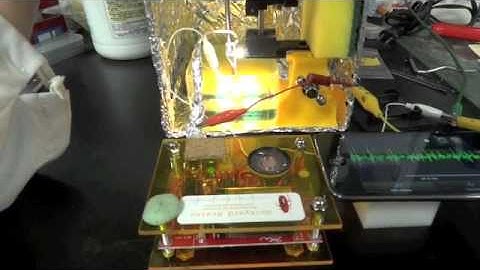 Spikerbox for goldfish cerebellum