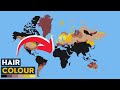 Understanding Our Planet's Divisions
