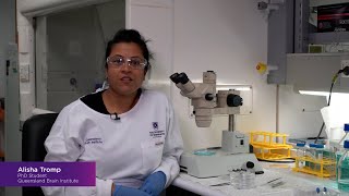 Connecting with QBI Video Series – Alisha Tromp