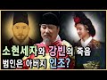 새로운 조선을 꿈꾸다. 소현세자와 강빈 (KBS 방송)