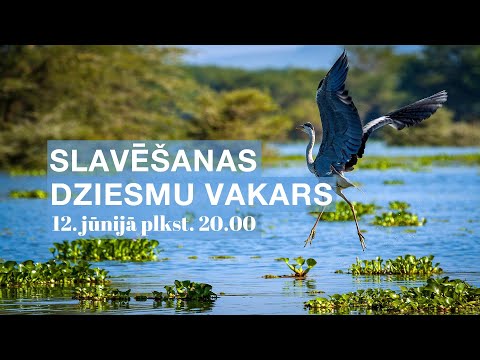 Video: Kā Izvēlēties Vijoli