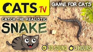 CAT GAMES  Realistic SNAKE  [CATS TV] Entertainment For Cats