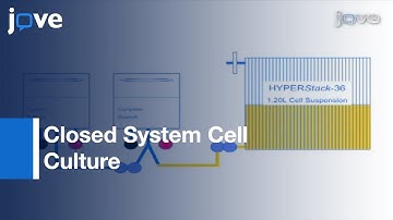 Cell Culture: HYPERStack Vessels With Gas Permeable Material Technology l Protocol Preview