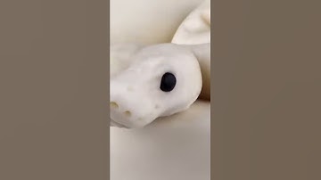 My Reaction to Accounts Stealing My Art 😣